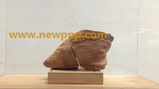 IRCP-002