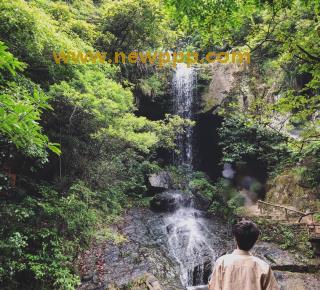 JARM-006