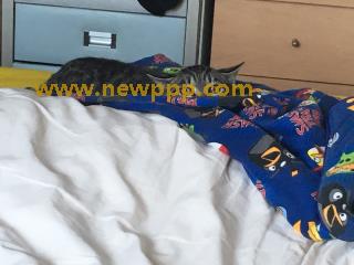 JFYG-037