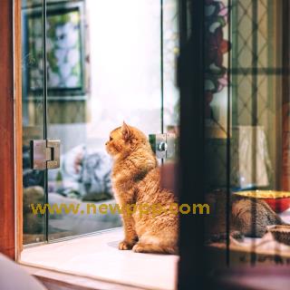 JKRD-042