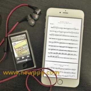 LMH-013