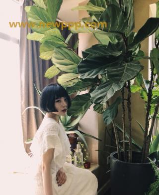 LSC-005