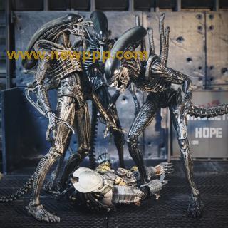 MDJ-048