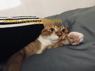 MEME-040