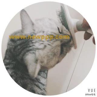 MIDV-008
