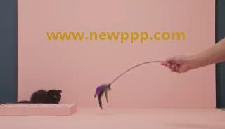 MNG-075