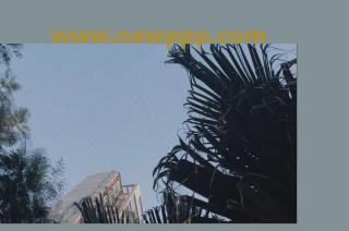 MVF-137