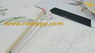 MVS-081