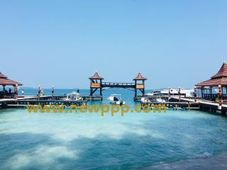 MVS-088