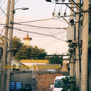 MVSD-074