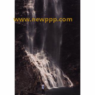 NBST-008