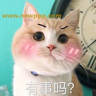 NPS-013