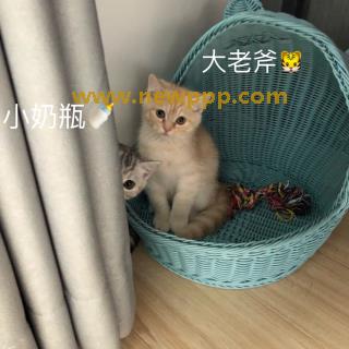 NSPS-057