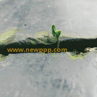 NSPS-079
