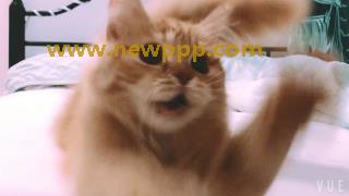 NSPS-097