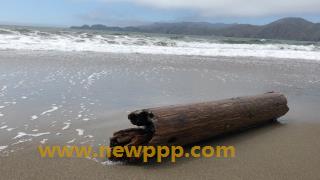 NWF-025