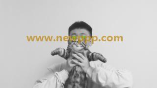 NWF-178