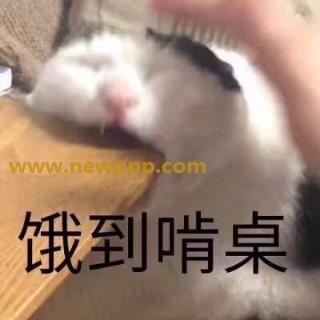 NWJK-026