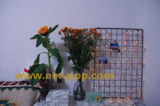 OKAD-427