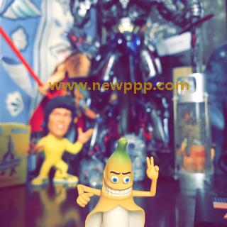 OPDD-014