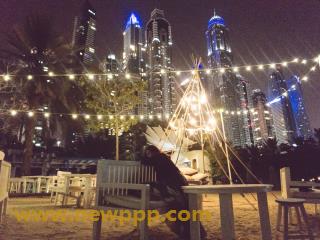 PARAT-016
