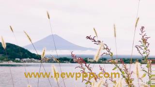 PARAT-1241