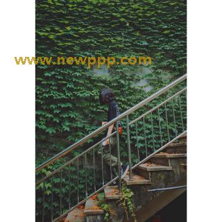 PBD-031