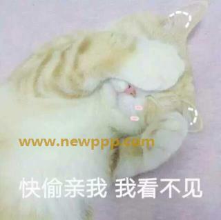 PDX-1121