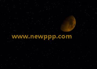 PGD-198