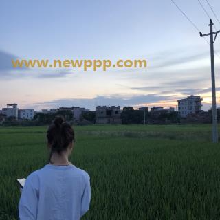 PHSG-004