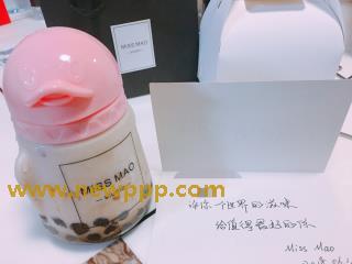 PJL-005