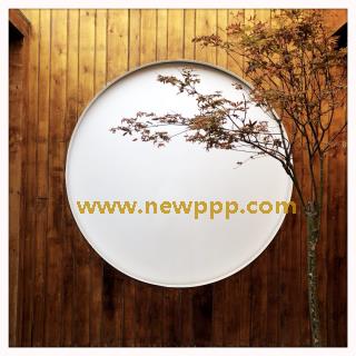 PMP-031