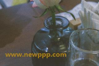 PMPD-013