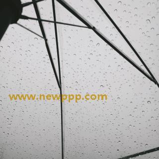 PMS-086