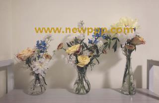 PPB-006