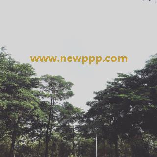 PPPD-136