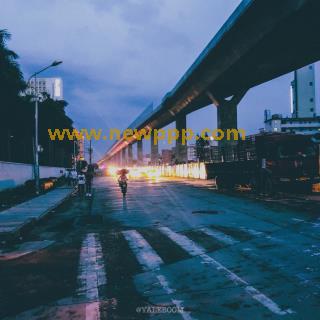 PRXV-005