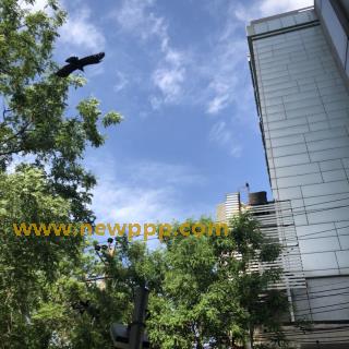 PTS-064