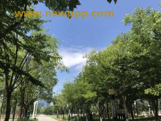 PUROD-057