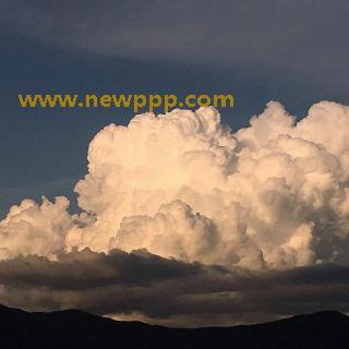 PUROD-082