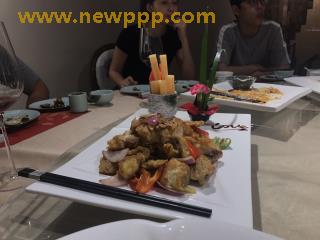PXV-046