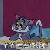 PYLD-133
