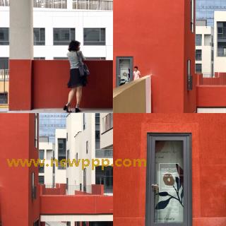 RED-006
