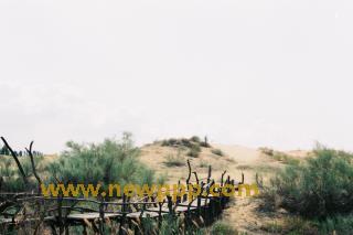 RYK-006
