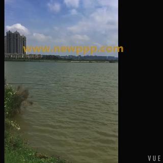 RYS-004