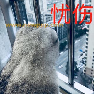 SBOC-003