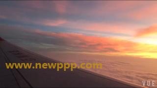 SFNA-019