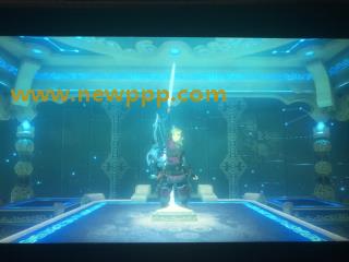 SFRR-030