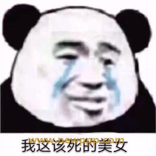 SGCRS-041