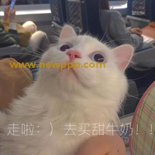 SHK-086